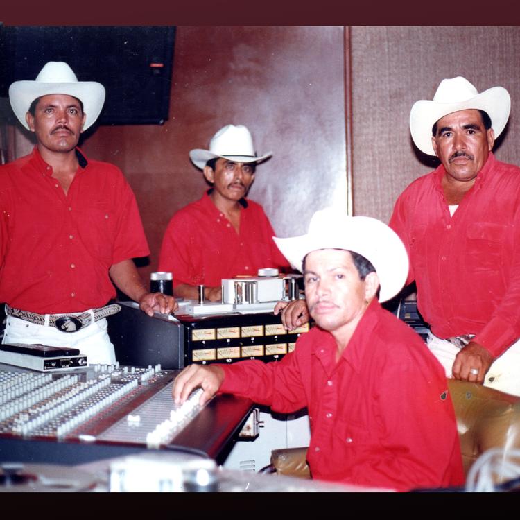 Los Alegres Del Valle's avatar image