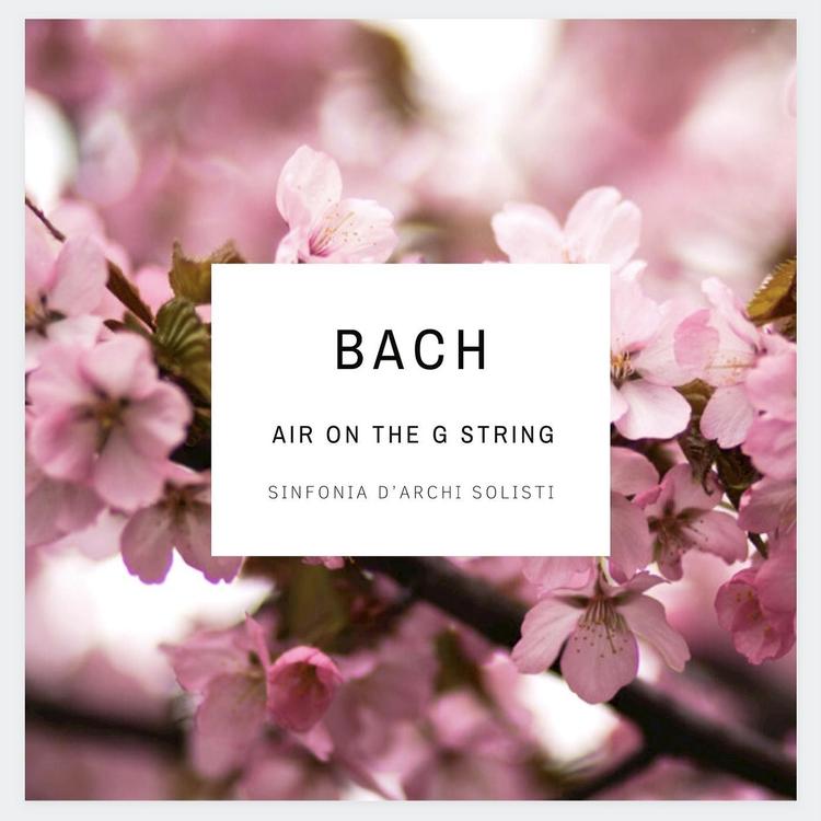 Sinfonia D'archi Solisti's avatar image