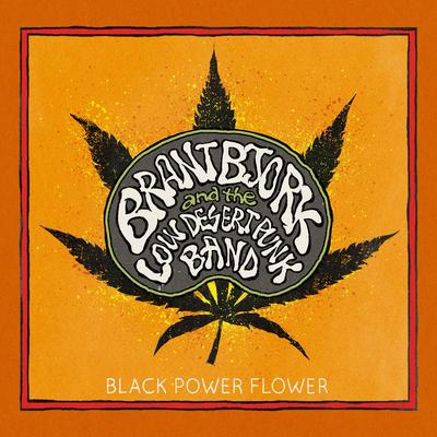 Controllers Destroyed By Brant Bjork, The Low Desert Punk Band's cover