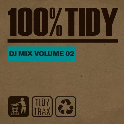 100% Tidy, Vol. 2's cover