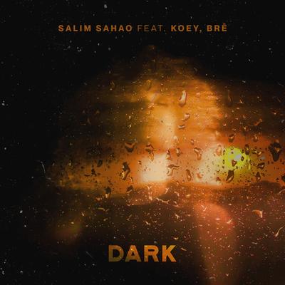 Dark By Salim Sahao, Koey, Bre's cover