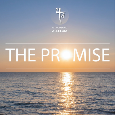 The Promise's cover