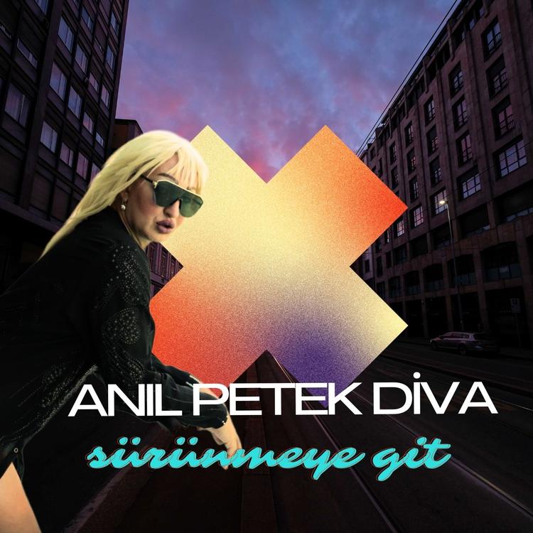 Anıl Petek Diva's avatar image