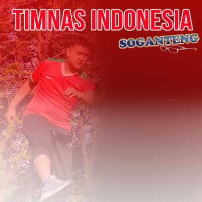 Timnas Indonesia's cover