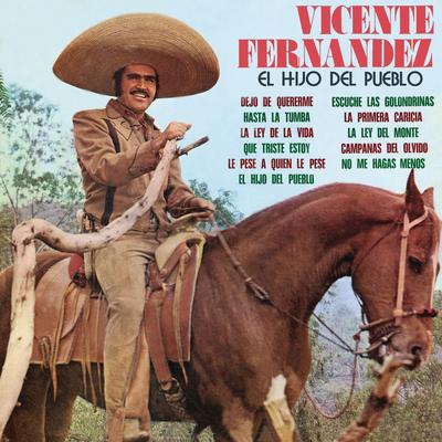 La Primera Caricia By Vicente Fernández's cover