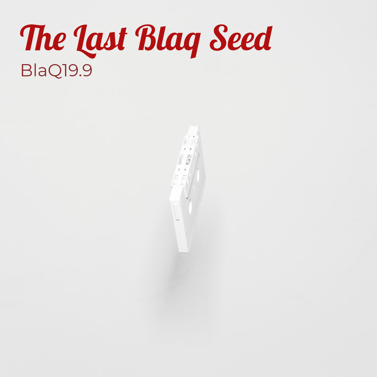 BlaQ19.9's avatar image