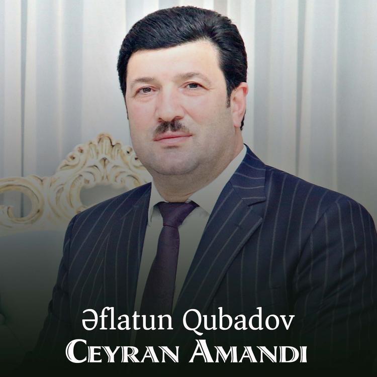 Əflatun Qubadov's avatar image
