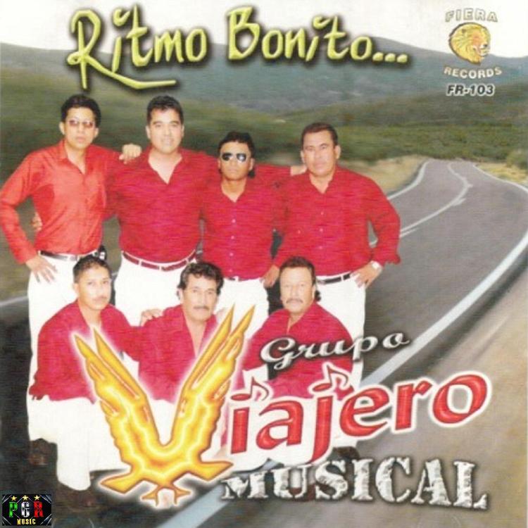 Viajero Musical's avatar image