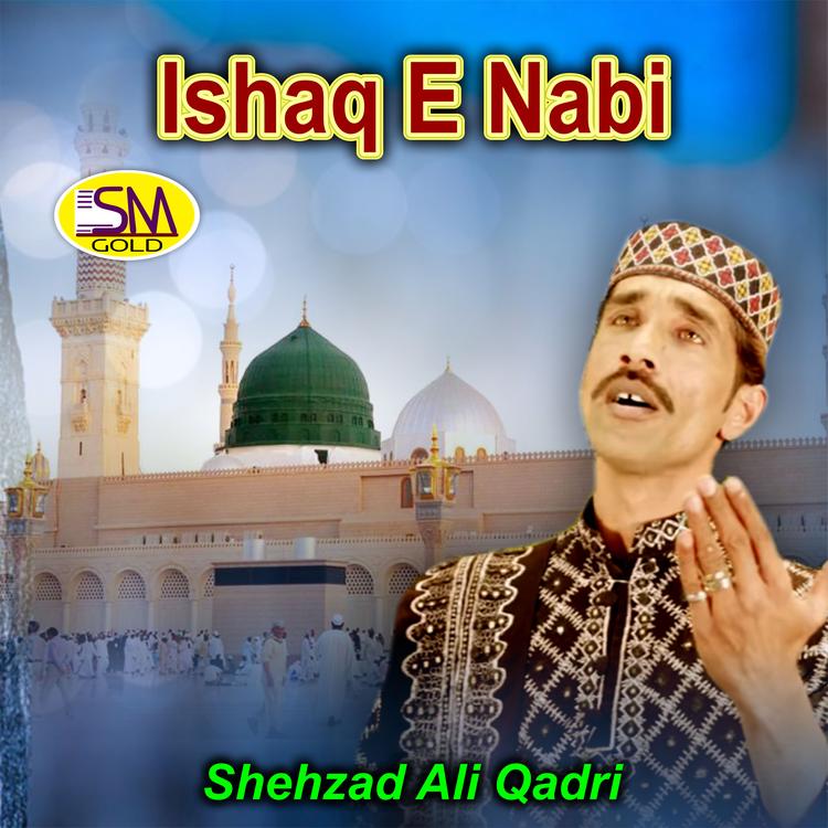 Shehzad Ali Qadri's avatar image