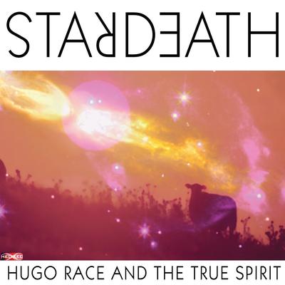 Hugo Race & The True Spirit's cover