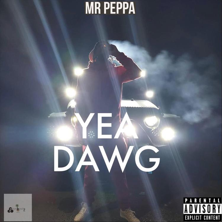 Mr Peppa's avatar image