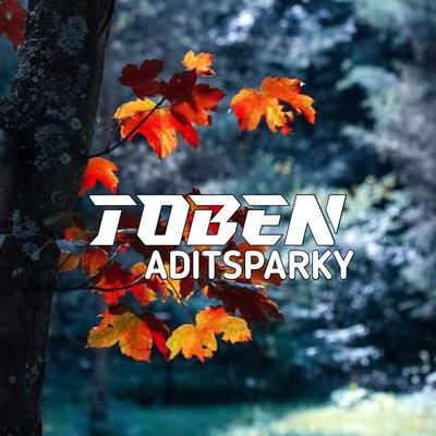 TOBEN (Remix)'s cover