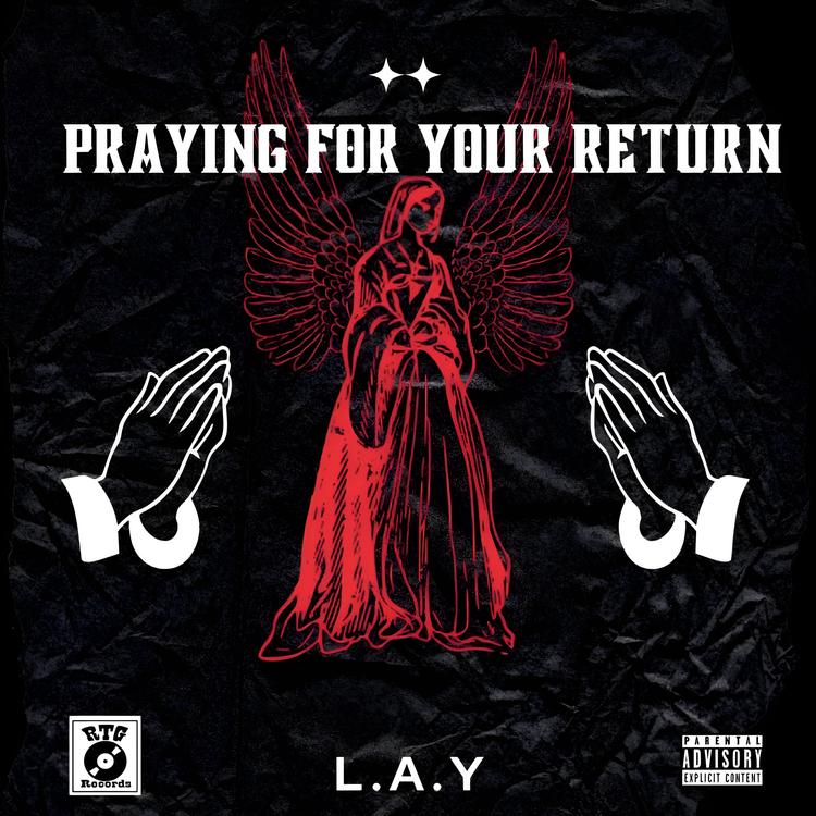 L.A.Y's avatar image