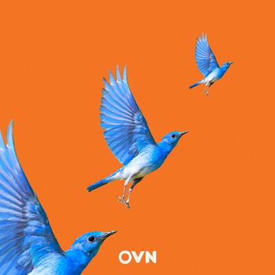 Greetings! By OVN's cover