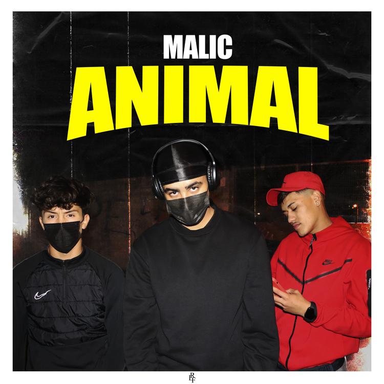 Malic's avatar image