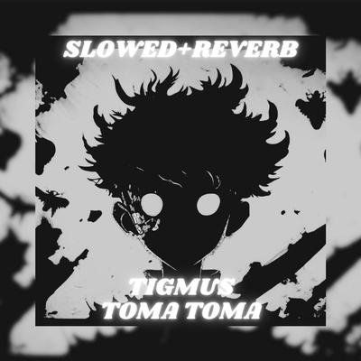 Toma Toma (Brazilian Phonk) [Slowed + Reverb] By Tigmus's cover