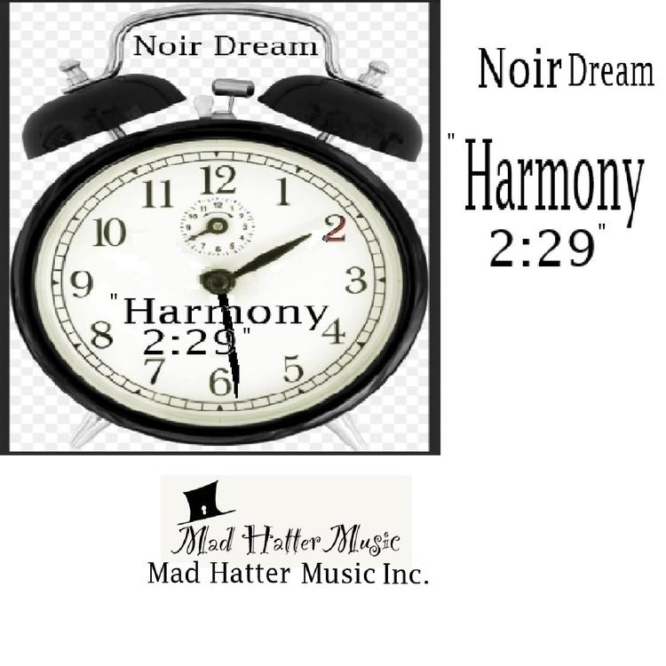 Noir Dream's avatar image