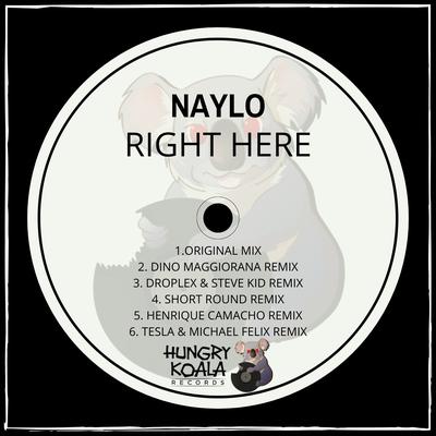 Right Here (Henrique Camacho Remix) By Naylo's cover