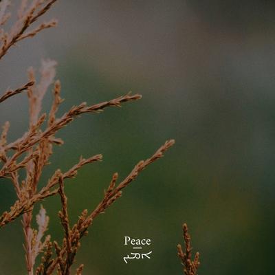 Peace-ܐܡܝܢ's cover