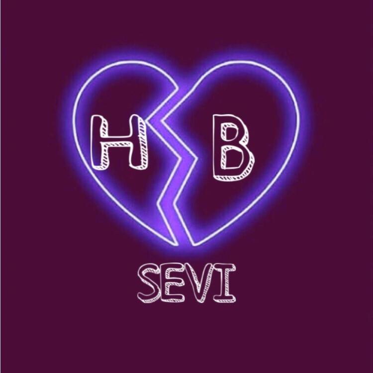SeVi's avatar image