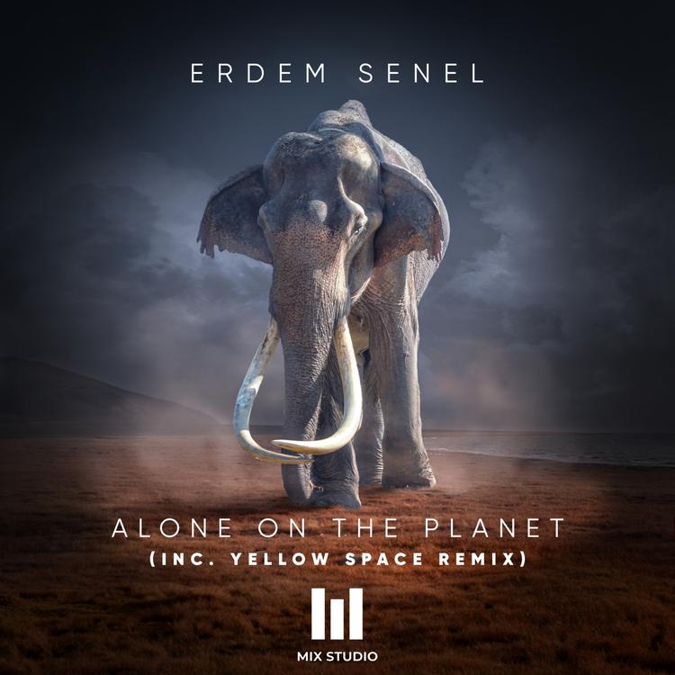 Erdem Senel's avatar image