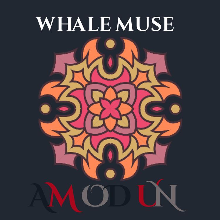 Whale Muse's avatar image