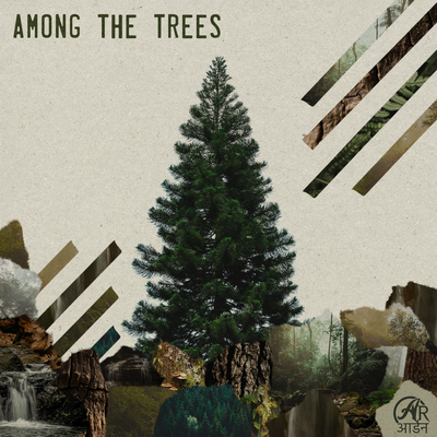 among the trees's cover