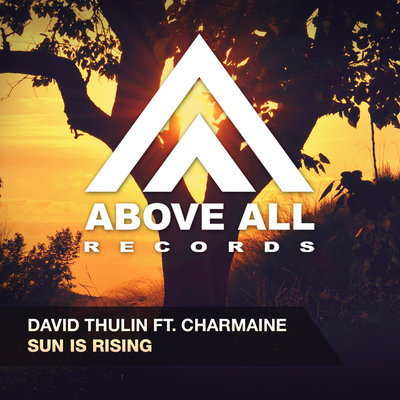 David Thulin's cover