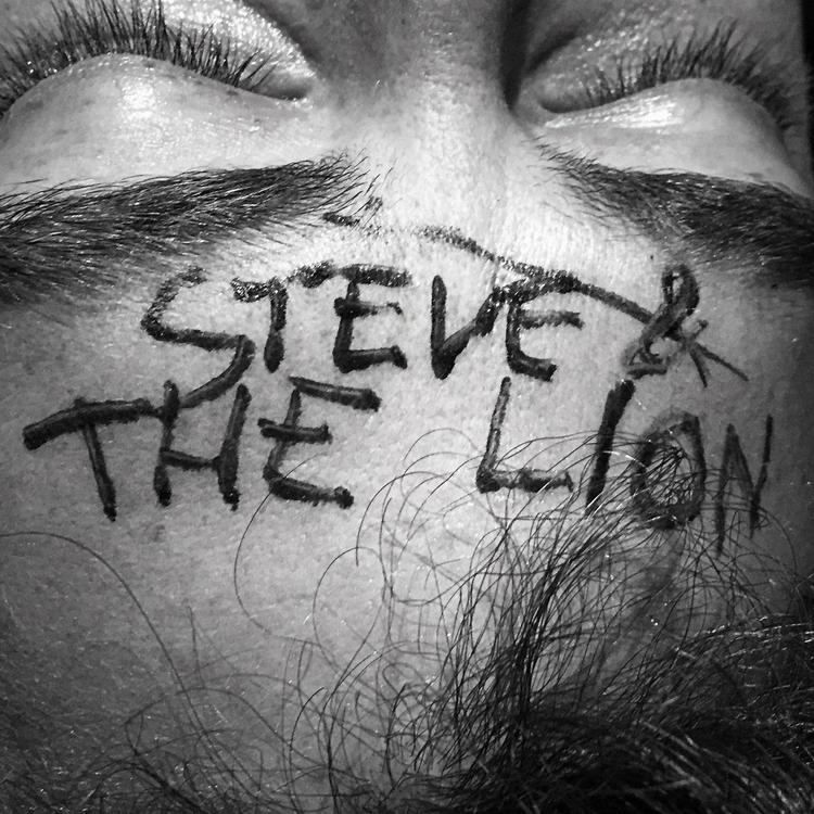 Steve and the Lion's avatar image