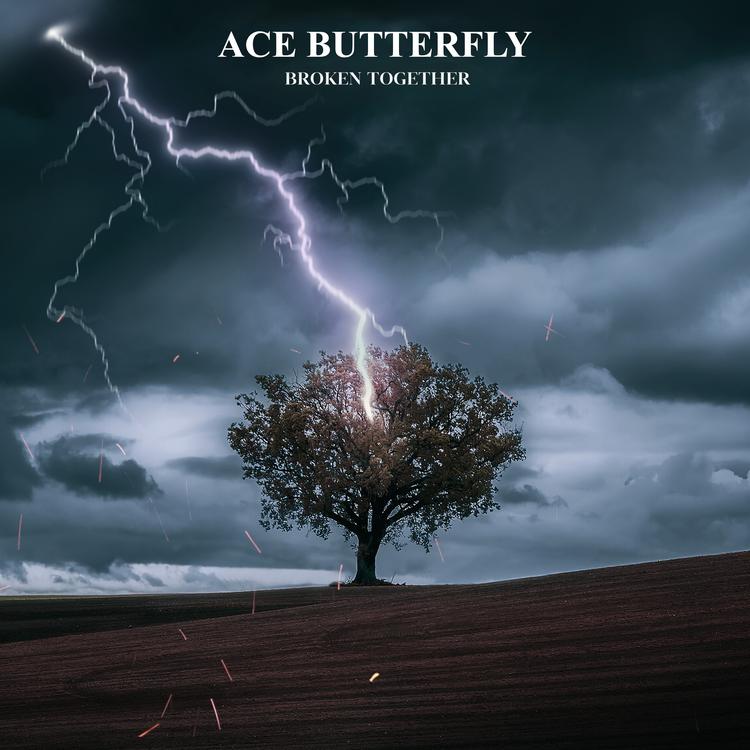 Ace Butterfly's avatar image