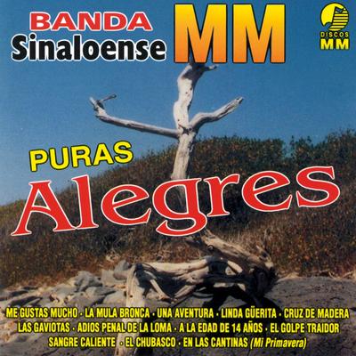 Puras Alegres's cover