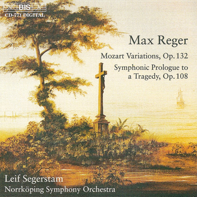 Variation VIII By Norrköpings Symfoniorkester, Leif Segerstam's cover