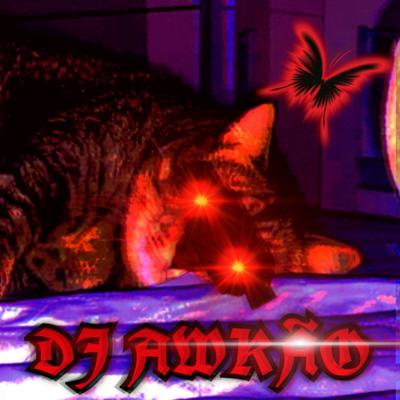 DJ AWKAO's cover