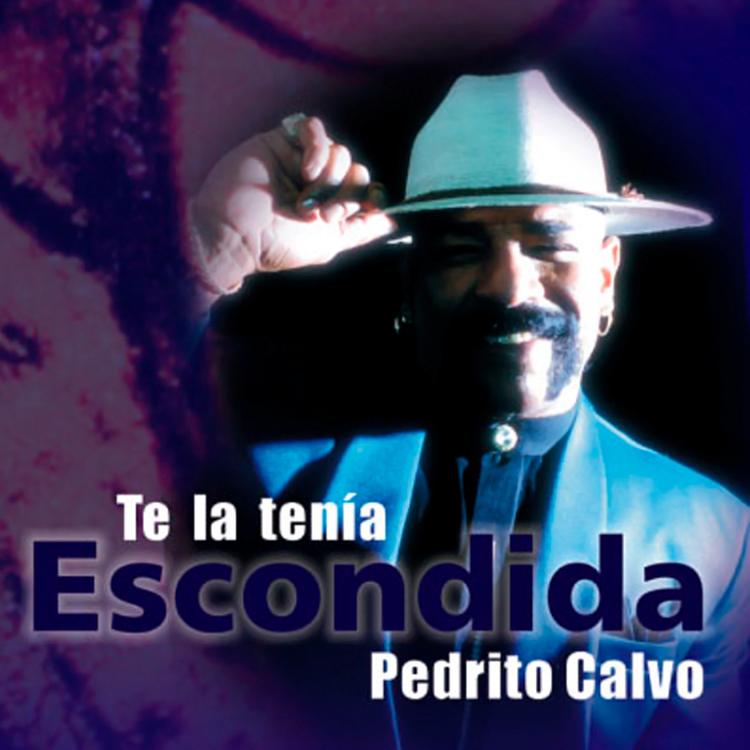 Pedrito Calvo's avatar image