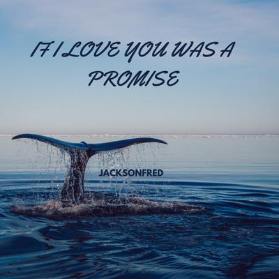 If I Love You Was a Promise's cover