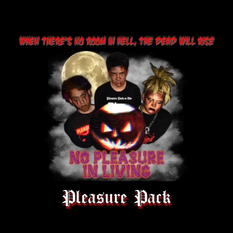 Pleasure Pack's avatar image