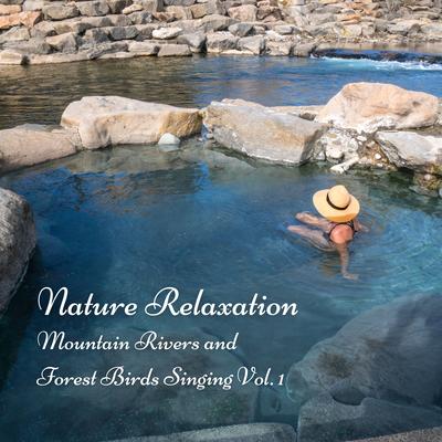 Restful River Ambience's cover