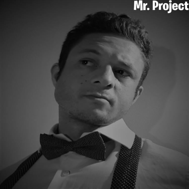 Mr. Project's avatar image