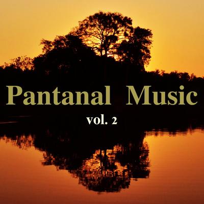 Pantanal Music, Vol. 2's cover