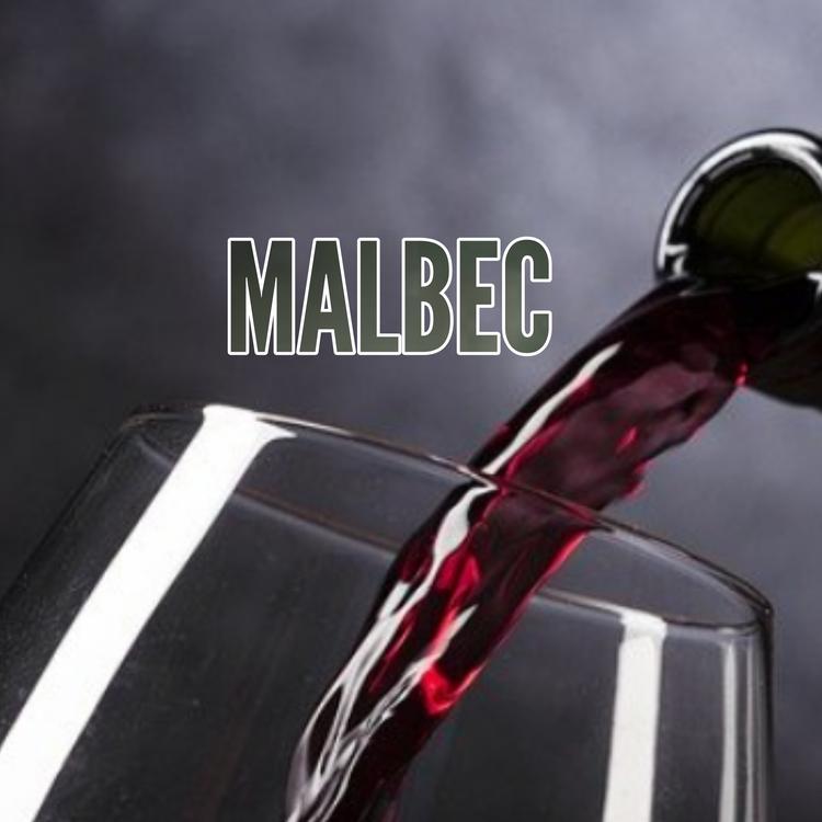 Malbec's avatar image