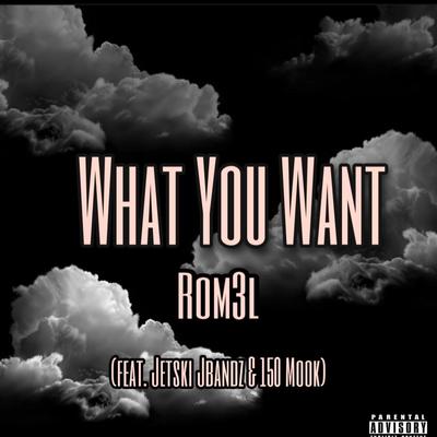 What You Want's cover