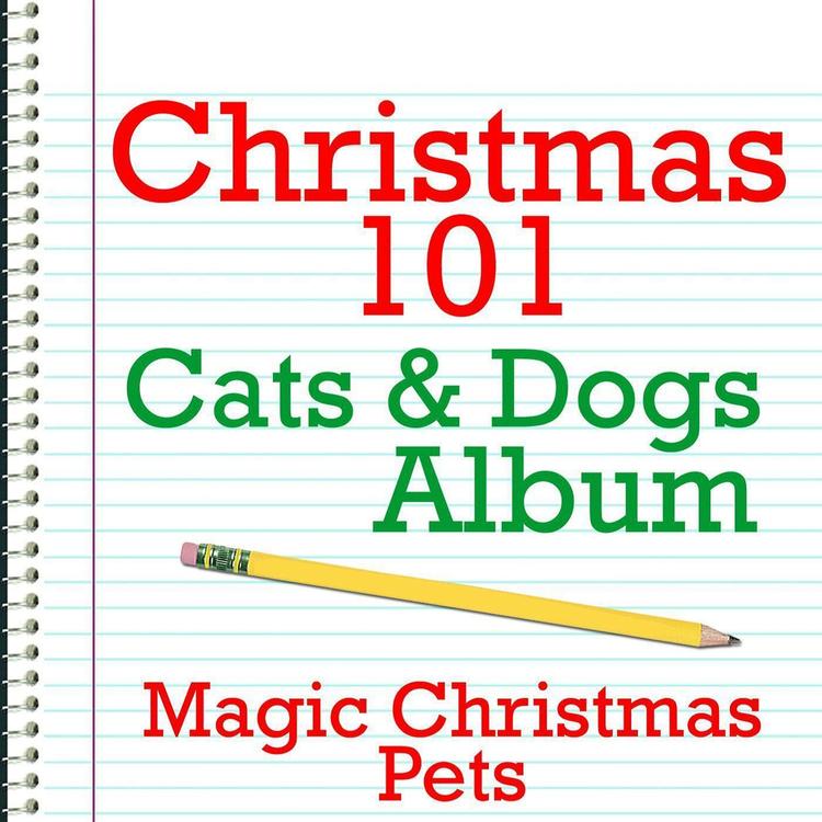 Magic Christmas Pets's avatar image