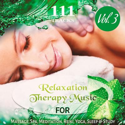 111 Tracks Vol. 3: Over Five Hours Relaxation Therapy Music for Massage, Spa, Meditation, Reiki, Yoga, Sleep and Study, Zen New Age & Healing Nature Sounds's cover