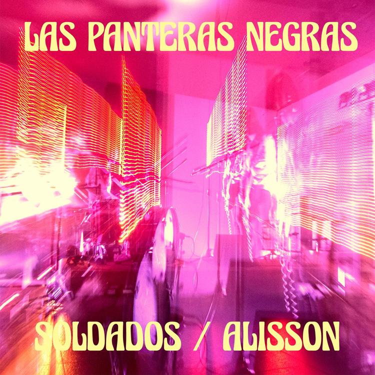 Las Panteras Negras's avatar image