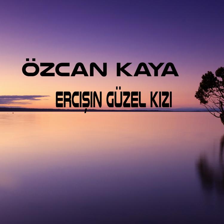 Özcan Kaya's avatar image