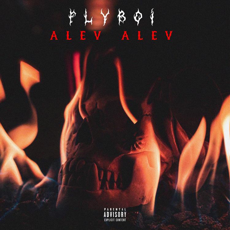 Flyboi's avatar image