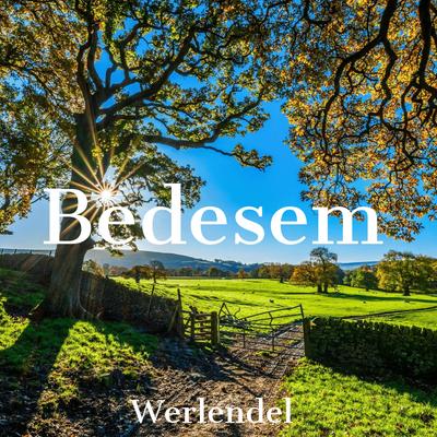 Bedesem's cover