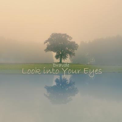 Look into Your Eyes By Dravde's cover