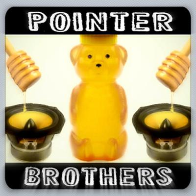 The Pointer Brothers's cover