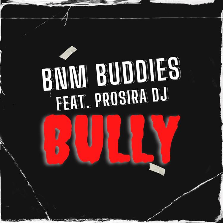 Bnm Buddies's avatar image